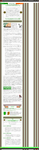 hanran-rsf-saoirse.png